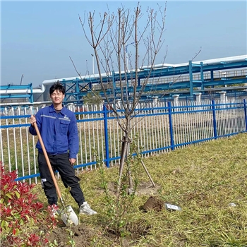 2022年3月植树活动
