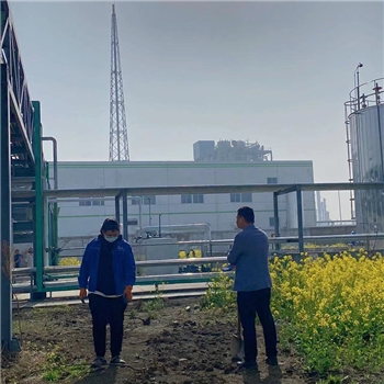 2022年3月植树活动