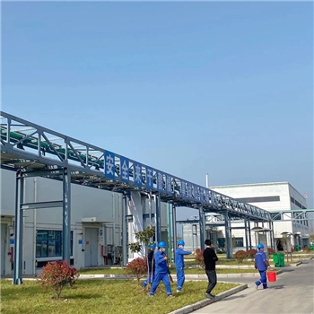 2022年3月植树活动