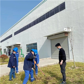 2022年3月植树活动