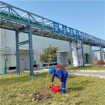 2022年3月植树活动