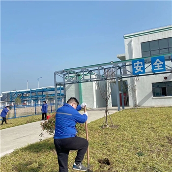 2022年3月植树活动