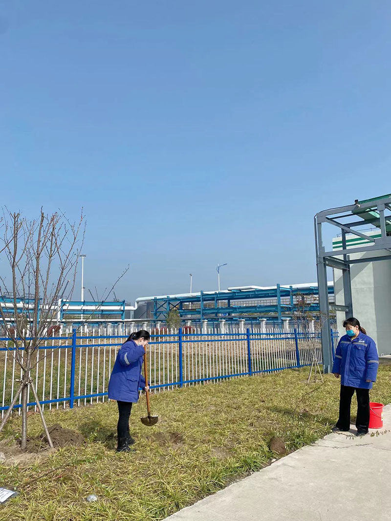 2022年3月植树活动