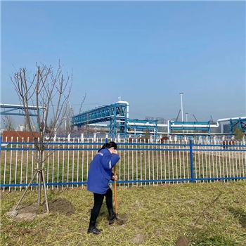 2022年3月植树活动