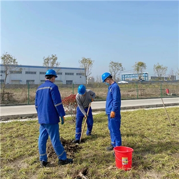 2022年3月植树活动