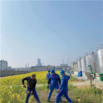 2022年3月植树活动