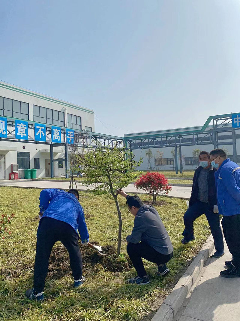 2022年3月植树活动