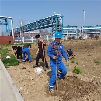 2022年3月植树活动