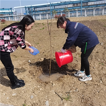 2022年3月植树活动