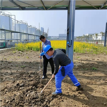 2022年3月植树活动