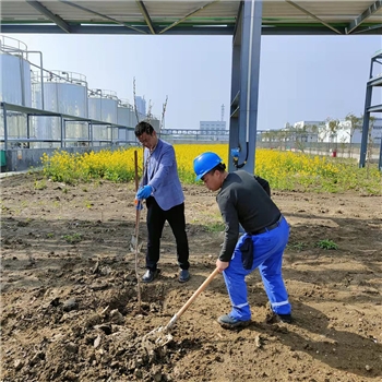 2022年3月植树活动