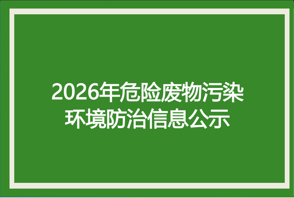 淮北绿洲新材料有限责任公司20...